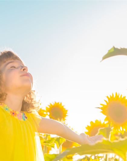 Schliebener`s größte Sonnenblume 