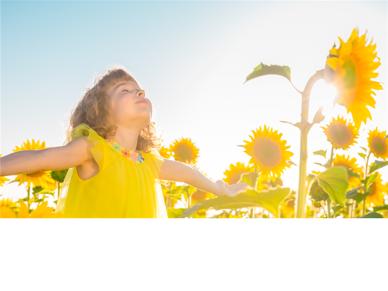Schliebener`s größte Sonnenblume 