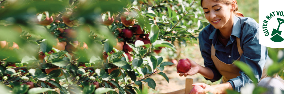 GK_Obst_Erwachsene-Slider_1930x550px