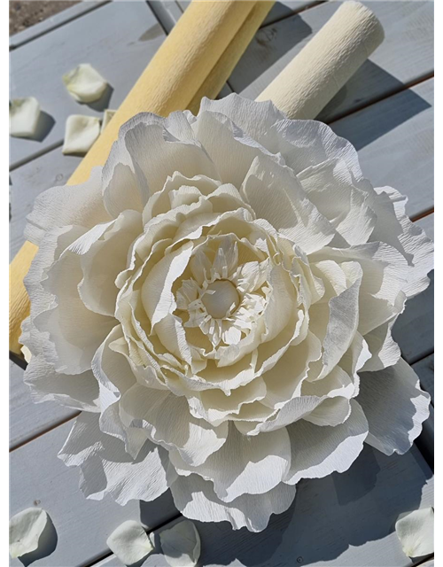 Kreativ-Workshop: Blüte aus Krepp