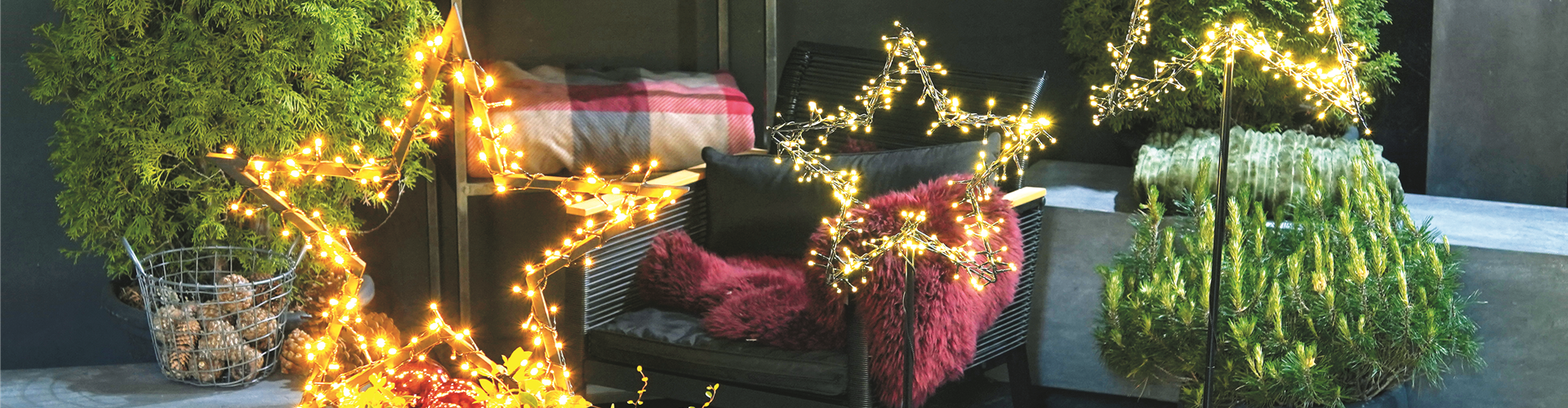 LICHTBLICKE IM WINTER-GARTEN!