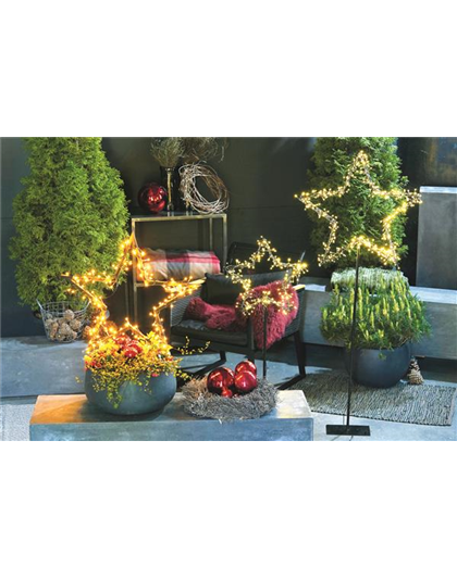 LICHTBLICKE IM WINTER-GARTEN!