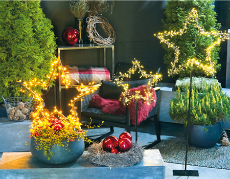 LICHTBLICKE IM WINTER-GARTEN!