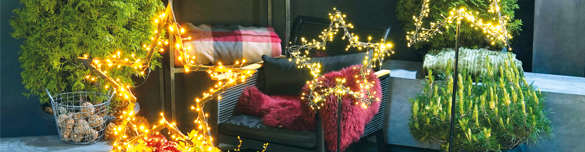 LICHTBLICKE IM WINTER-GARTEN!