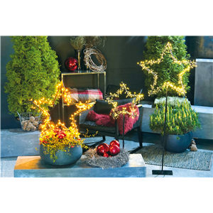 LICHTBLICKE IM WINTER-GARTEN!