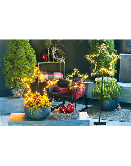 LICHTBLICKE IM WINTER-GARTEN!