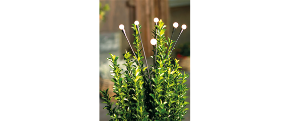 LICHTBLICKE IM WINTER-GARTEN!