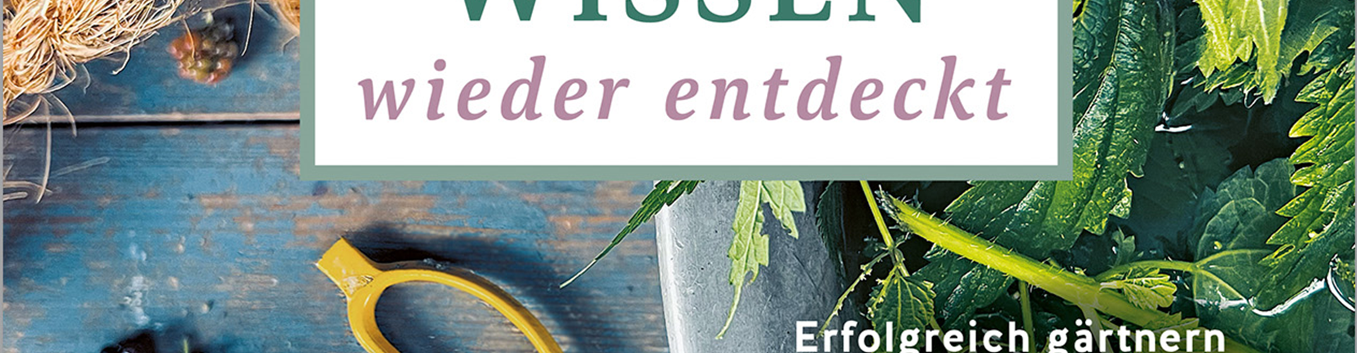 Buch des Monats: Juni!