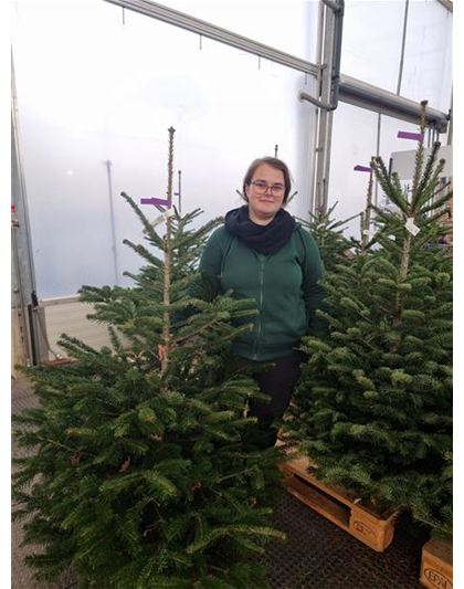 Nordmann-Weihnachtsbaum Premium 100/150