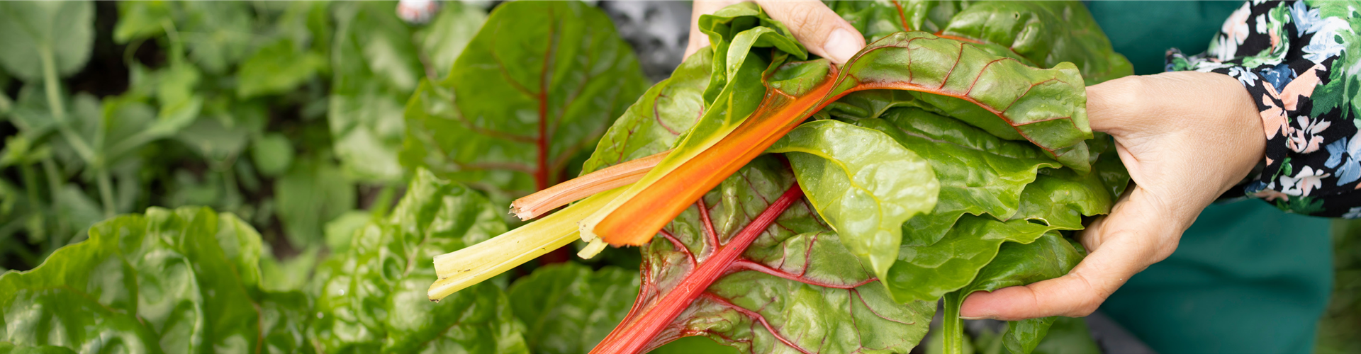 Buch des Monats: März!