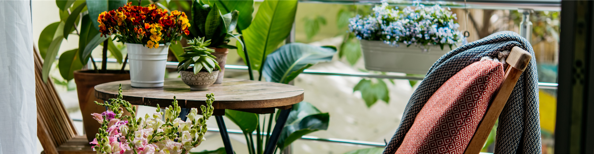 Buch des Monats: Mai!