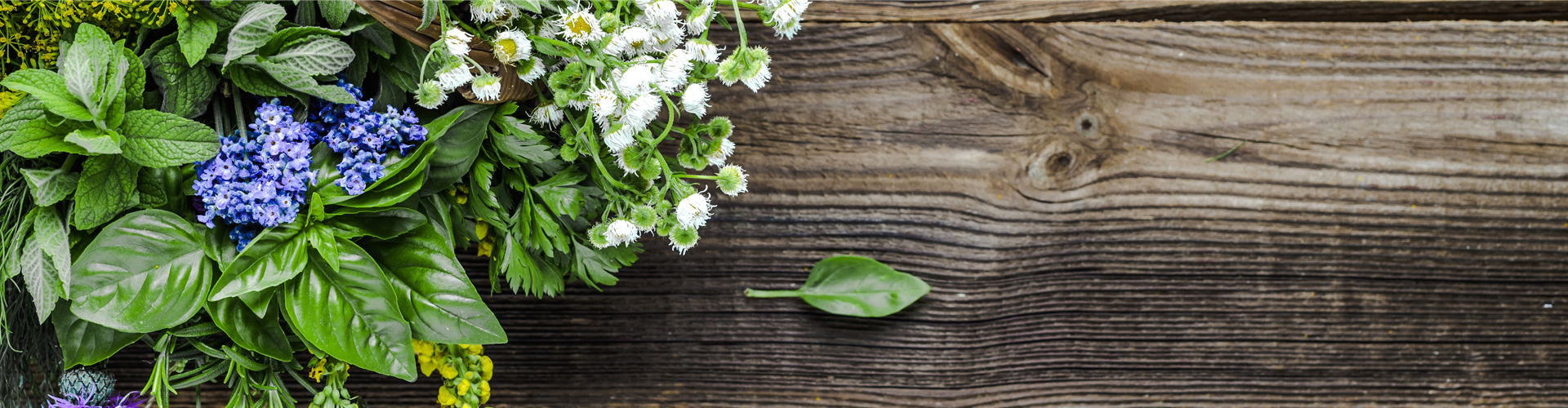 Buch des Monats: Juni!