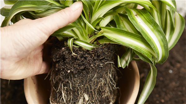 Umtopf-Aktion am 27.2. -28.2.2026