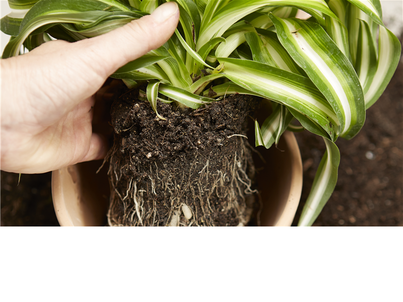 Umtopf-Aktion am 27.2. -28.2.2026