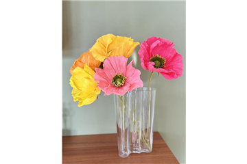 Kreativ-Workshop Farbenfrohe Mohnblumen