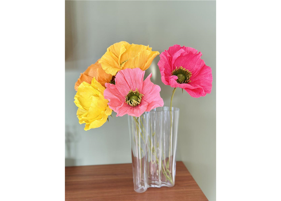 Kreativ-Workshop Farbenfrohe Mohnblumen