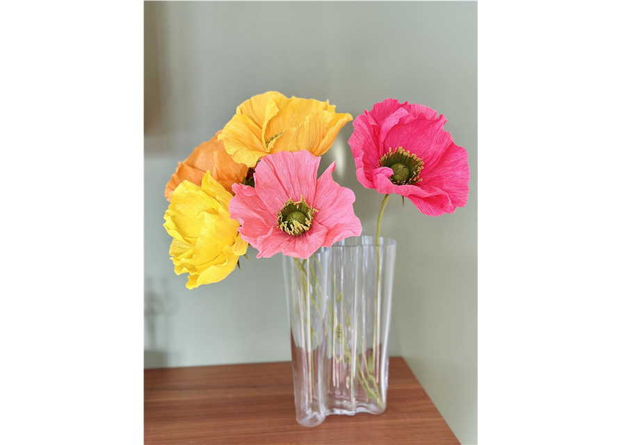Kreativ-Workshop Farbenfrohe Mohnblumen