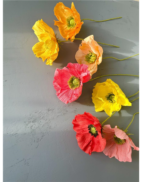 Kreativ-Workshop Farbenfrohe Mohnblumen