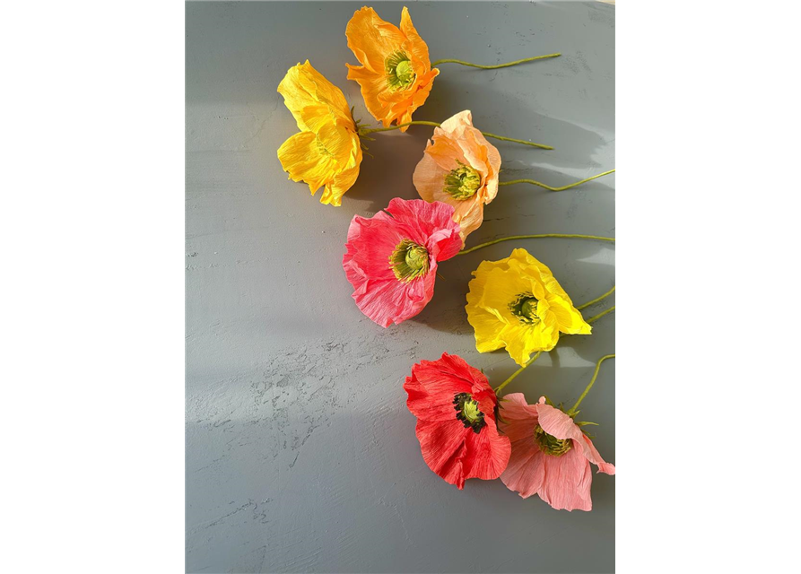 Kreativ-Workshop Farbenfrohe Mohnblumen