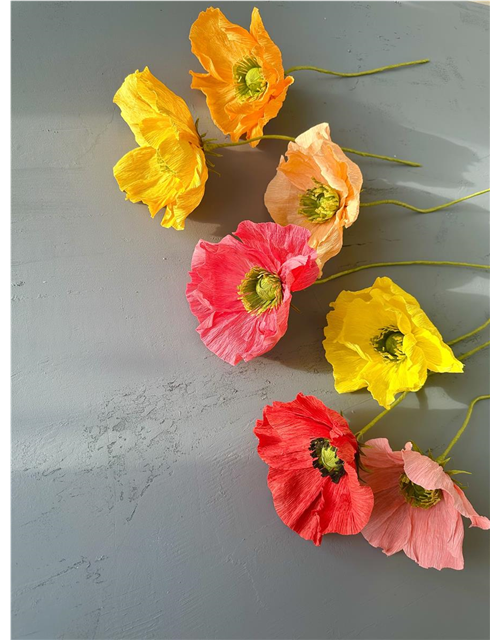 Kreativ-Workshop Farbenfrohe Mohnblumen