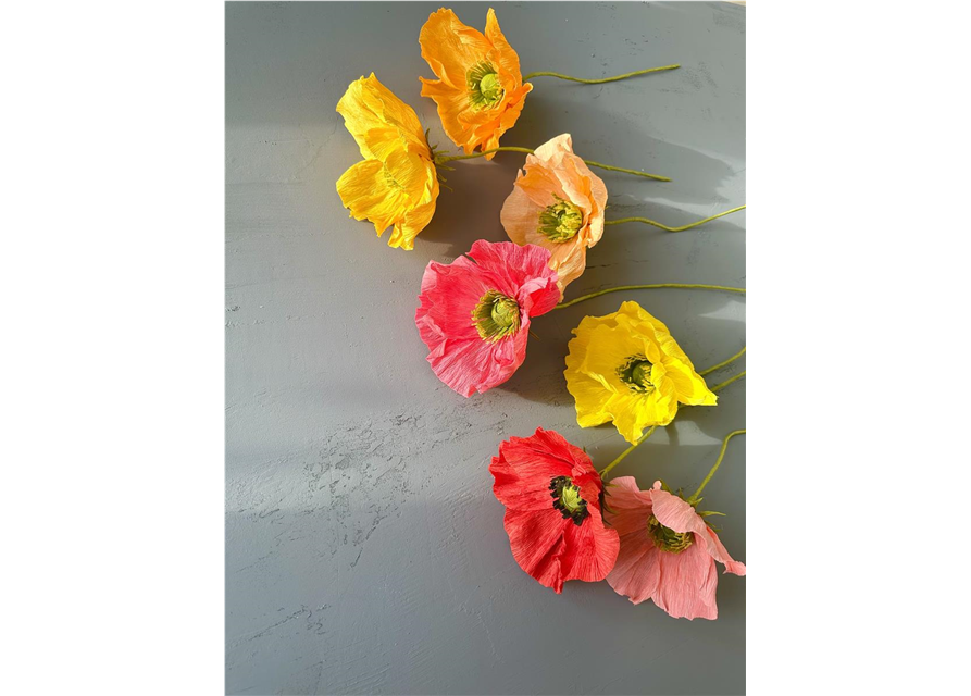 Kreativ-Workshop Farbenfrohe Mohnblumen