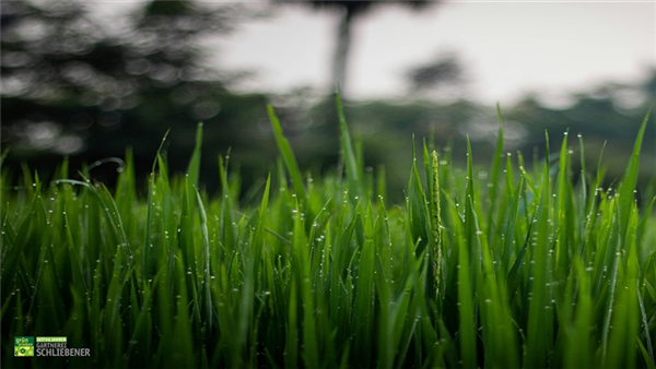 Kostenfreie Bodenproben-Untersuchung 