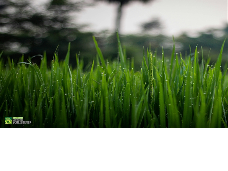 Kostenfreie Bodenproben-Untersuchung 