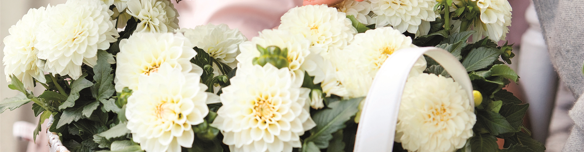 URLAUB AUF DEM BALKON! 