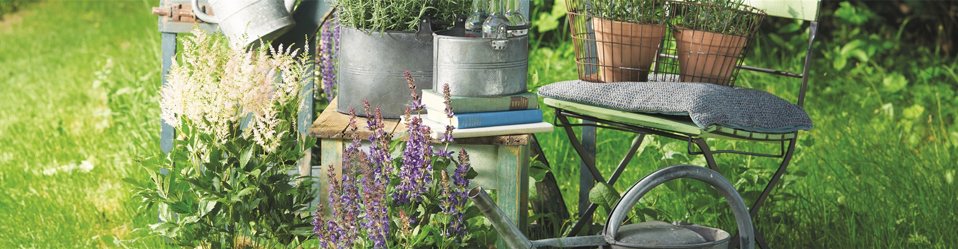 SOMMER IM STAUDENGARTEN!