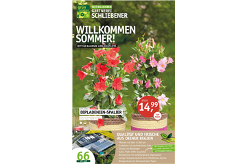 Beilage 5 - 2026