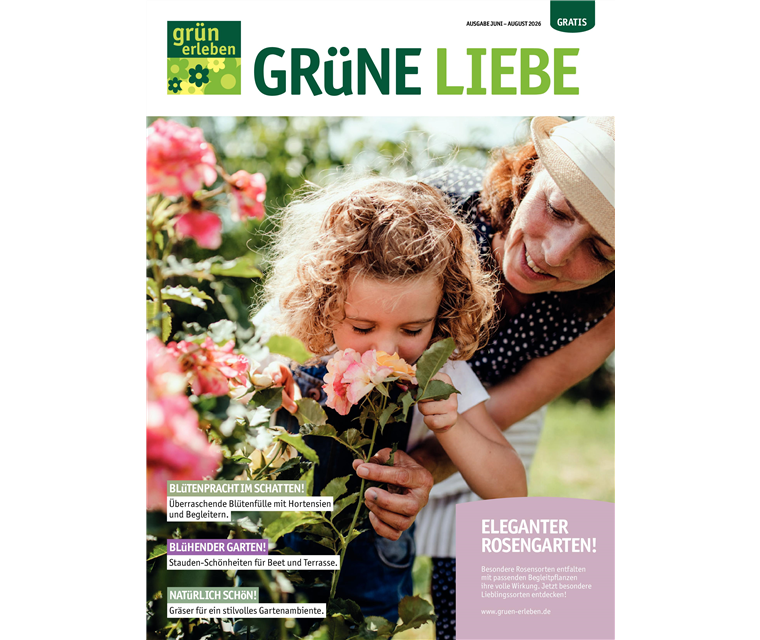 Kundenmagazin Grüne Liebe 4 / 2026