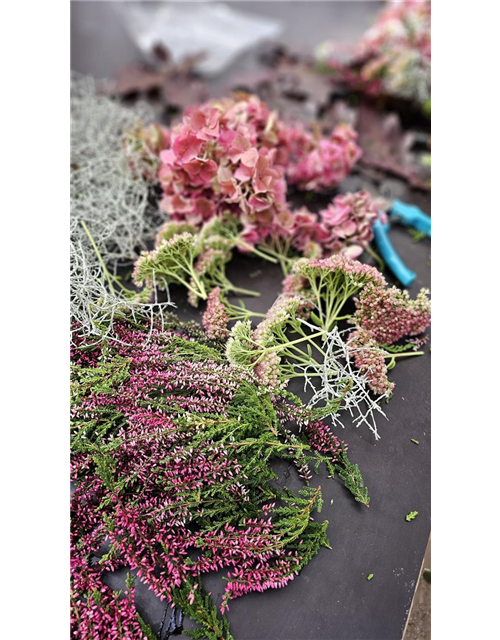 Floristik-Workshop Herbst 12.09.26 Erw.