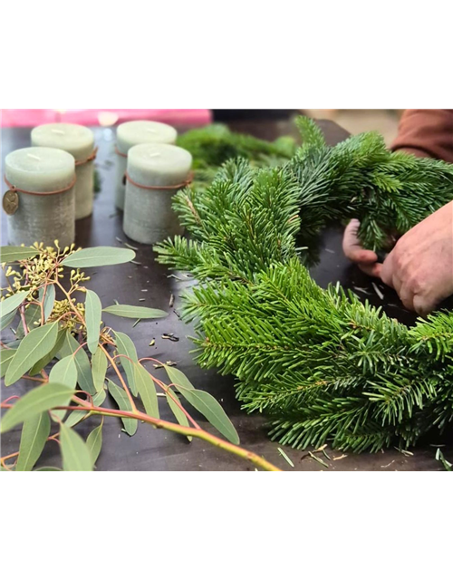Floristik-Workshop Adventskranz 25.11.26