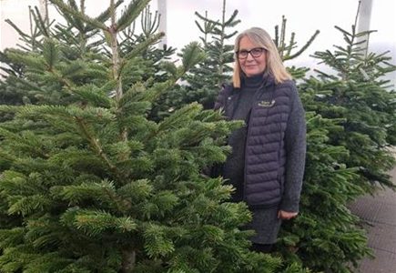 Nordmann-Weihnachtsbaum Exclusiv 225/250